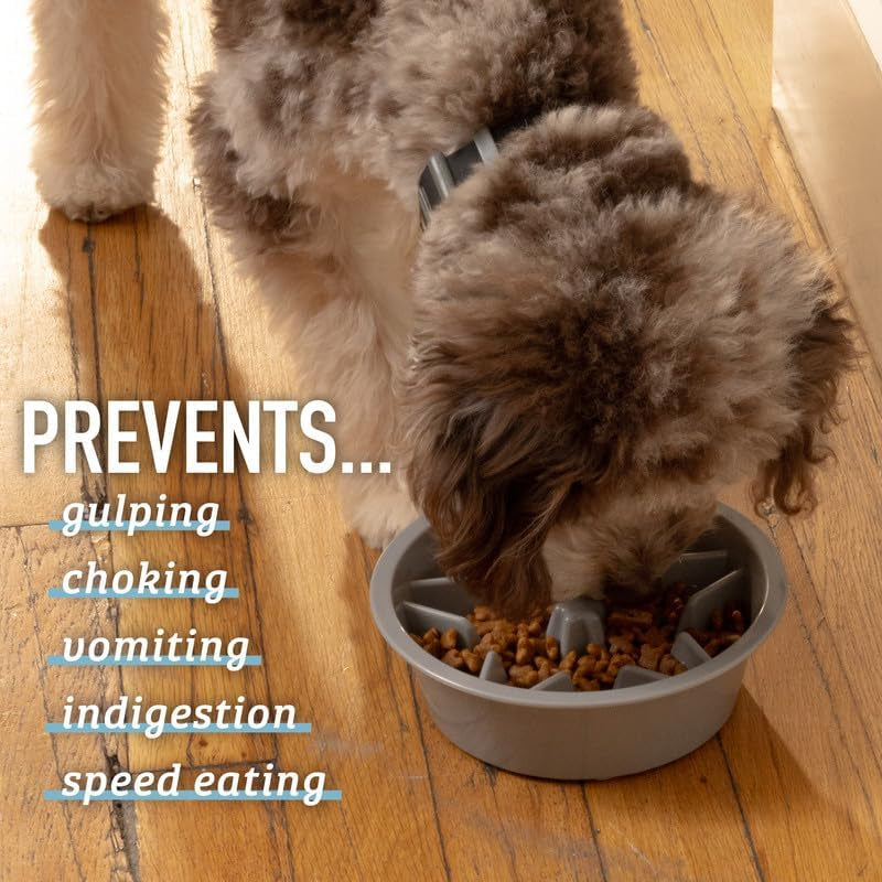 Slow Feeder Dog Bowl (2 Cup) - Puzzle Dog Food Bowl with Feeder Holes, Fits Elevated Pet Feeders, Slow Eating for Large, Medium & Small Sized Breeds - Blue